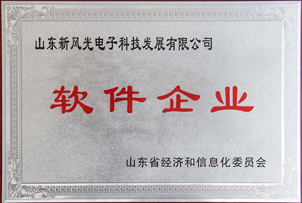 新风光电子公司顺利通过2013年山东省软件企业认证